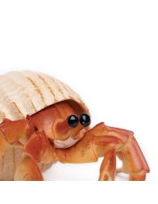 Safari Ltd. | Figurka | Krab poustevník