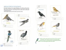 Svojtka&Co Můj sešit pozorování a aktivit Ptáci