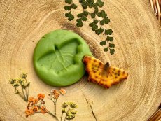 Yellow Door - Motýli