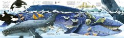 Big Book of Big Sea Creatures