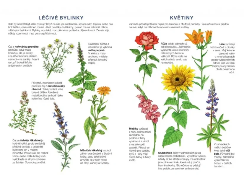 BETEXA Začínáme vystřihovat - Zahrada