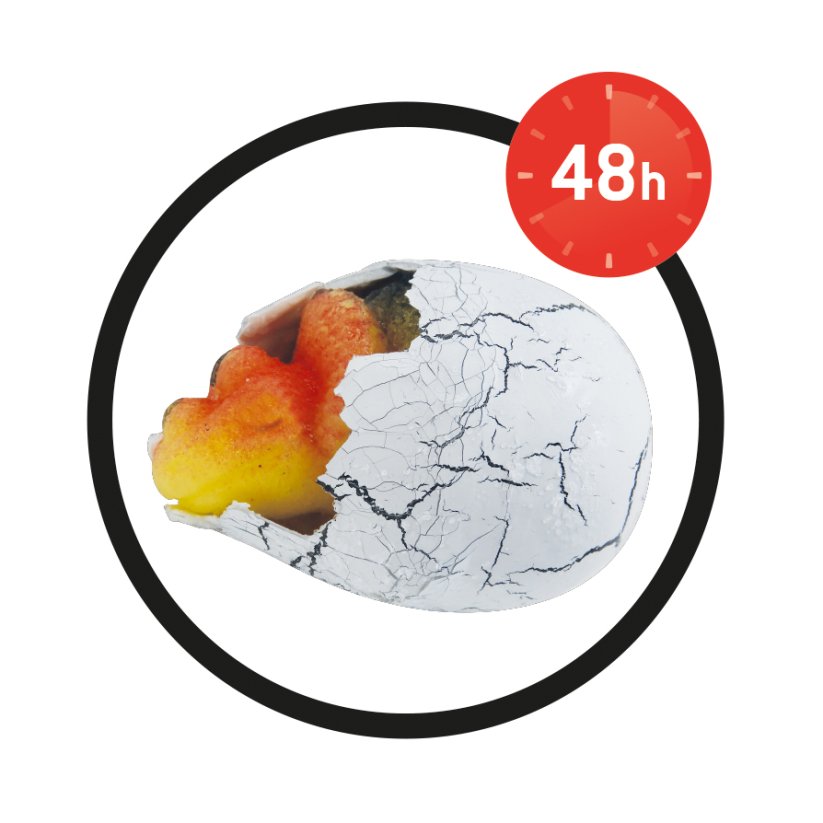 BUKI DinoEggs magické rastúce vajíčko