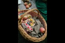 GRAPAT | FRUITS