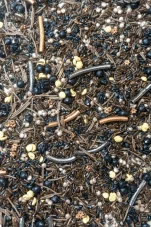 Playsense | Mraveniště- smyslový mix