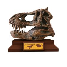 Albi - Lovci lebek - Tyrannosaurus