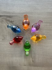 Ptáčči v barvách duhy