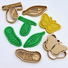 Vývojový cyklus motýla - vykrajovátka - sada 4 ks