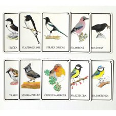 Výukové karty PTÁČCI PĚVCI