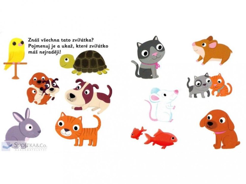 MiniPEDIE Objevujeme svět! Domácí mazlíčci