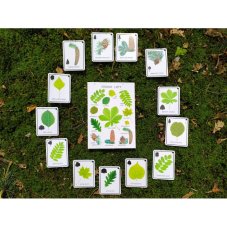 Výukové karty Stromy