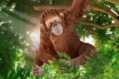 Schleich - Orangutan