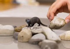 Schleich - Vydra