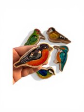 Dřevo z duhy | Ptačí sada