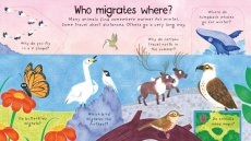 Usborne | First Questions and Answers: Where Do Animals Go In Winter?