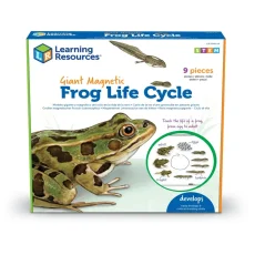 Learning Resources | Velký magnetický životní cyklus  | Žába