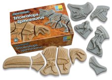 Yellow Door - kostry Triceratops & Spinosaurus