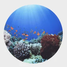 TickiT podložka pro svítící stůl-Moře