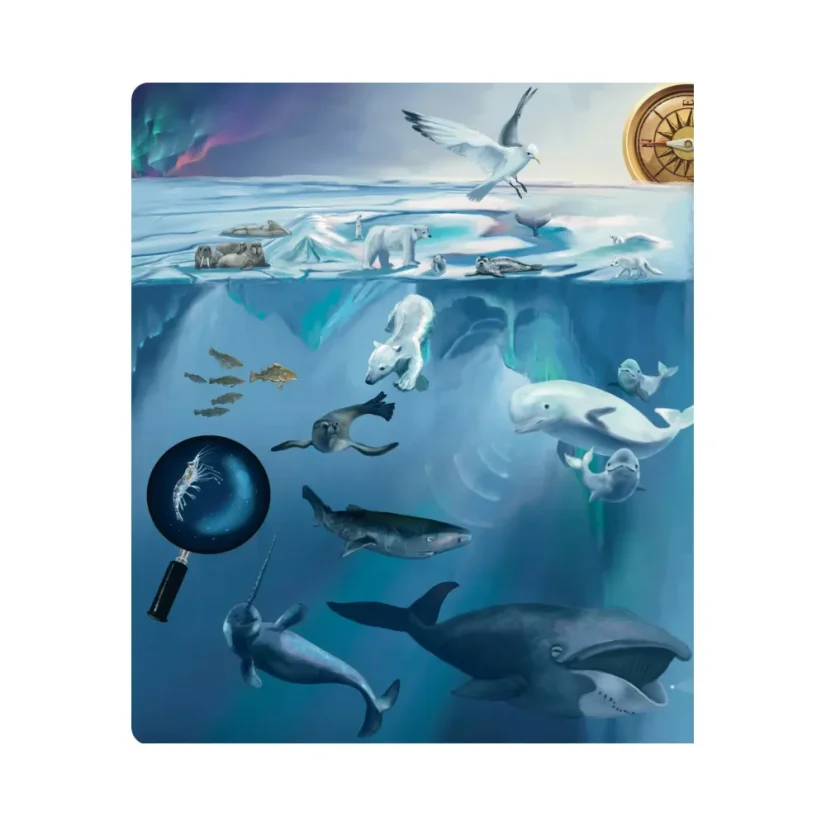 ALBI - kouzelné čtení - Kniha Tajemství moří a oceánů