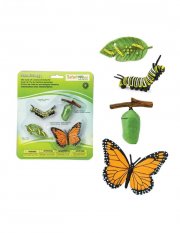 Safari Ltd. - Životní cyklus - Motýl