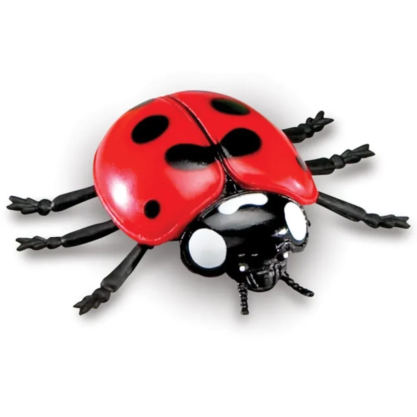 Learning Resources | Jumbo Insects