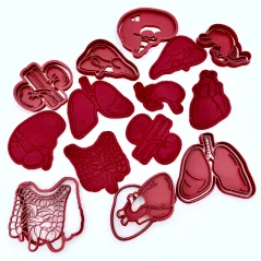 Orgány - vykrajovátka - sada 7 ks