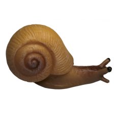 ANIMAL LIFE - Životný cyklus - Slimák