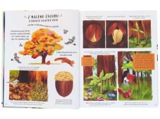 Zpomal a podívej se