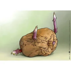 Jak klíčí a roste brambora