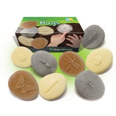 Yellow Door - Objevování hmyz