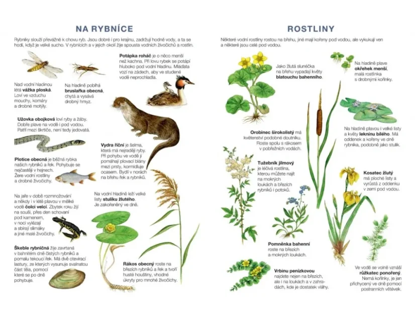 BETEXA Začínáme vystřihovat - U vody