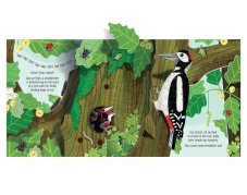 Usborne | Pop-Up Nature