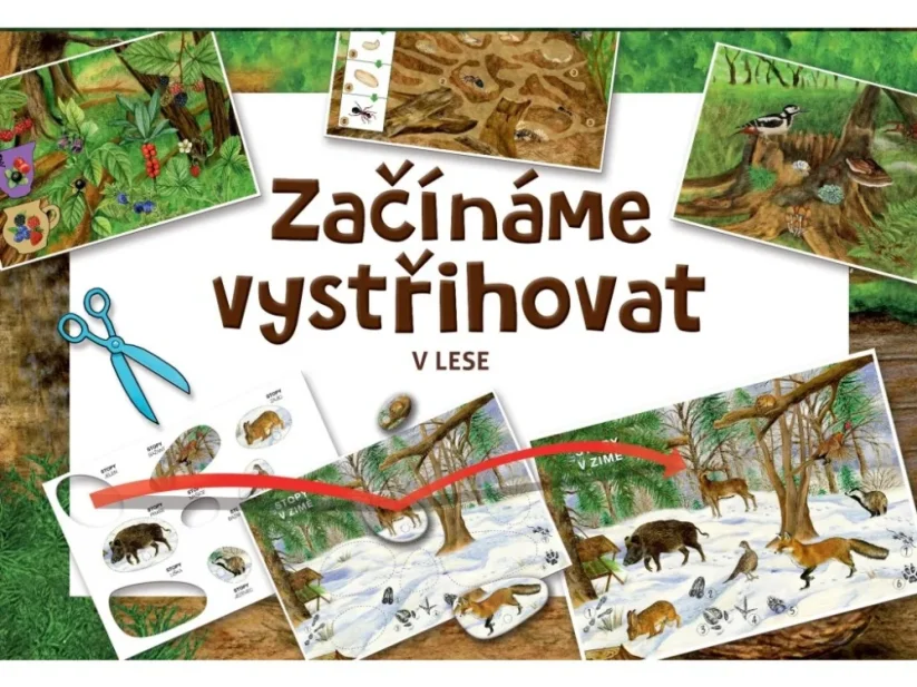 BETEXA Začíname vystrihovať - V lese