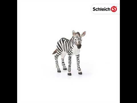 Schleich - hříbě zebry