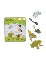 Safari Ltd. - Životní cyklus - Žába