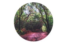 TickiT podložka pro svítící stůl