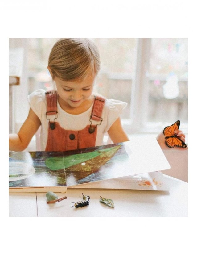 Safari Ltd. - Životní cyklus - Motýl