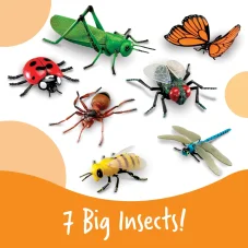 Learning Resources | Jumbo Insects