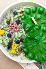 Playsense | Žabí habitat – zmyslový mix