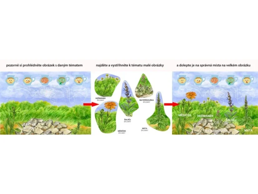 BETEXA Začínáme vystřihovat - Zahrada