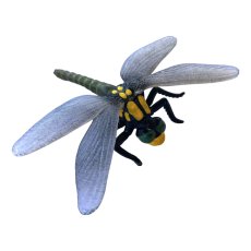 ANIMAL LIFE - Životný cyklus - Vážka