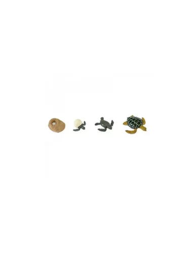 Safari Ltd. - Životní cyklus - Mořská  želva