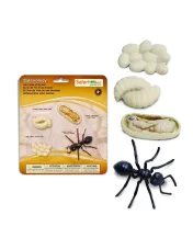 Safari Ltd. - Životní cyklus - Mravenec