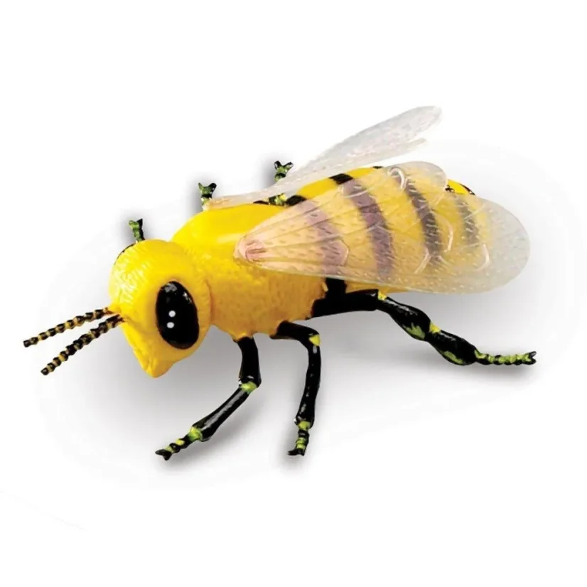 Learning Resources | Jumbo Insects