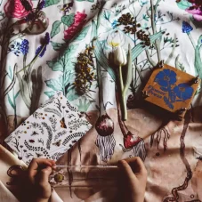 Wonderie | In bloom
