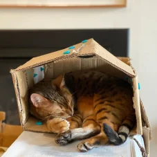 Makedo | Explore Kit