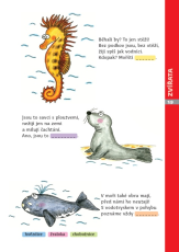 Hádám, hádáš, hádáme