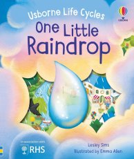 Usborne | One Little Raindrop