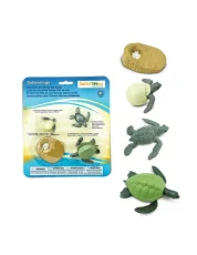 Safari Ltd. - Životný cyklus - Morská korytnačka