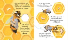 Usborne | One Little Bee