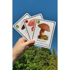 Výukové karty Houbičky